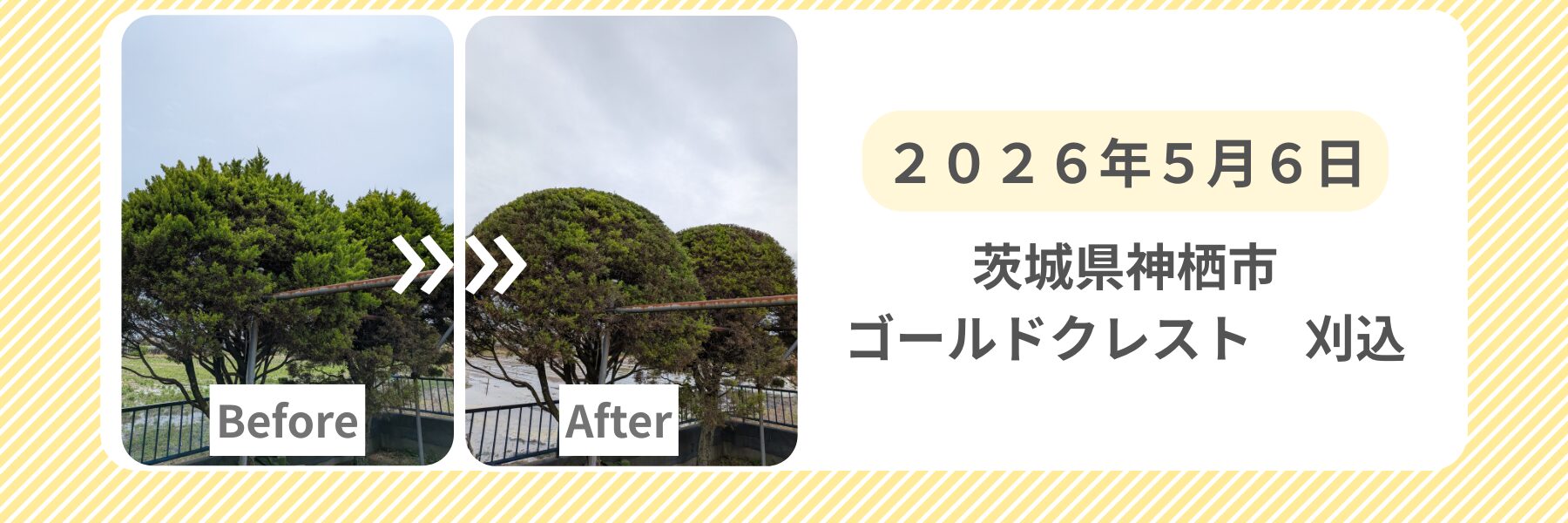 原本