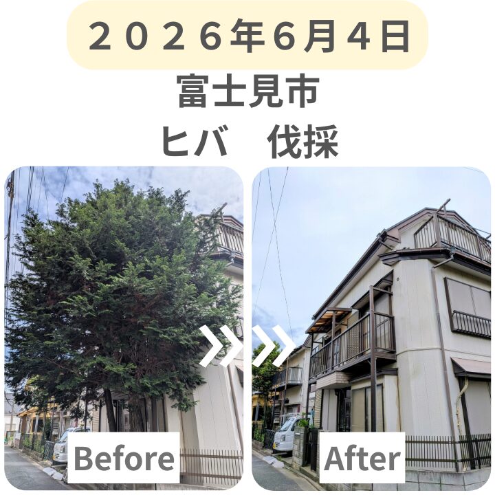 スマホ_最新施工事例