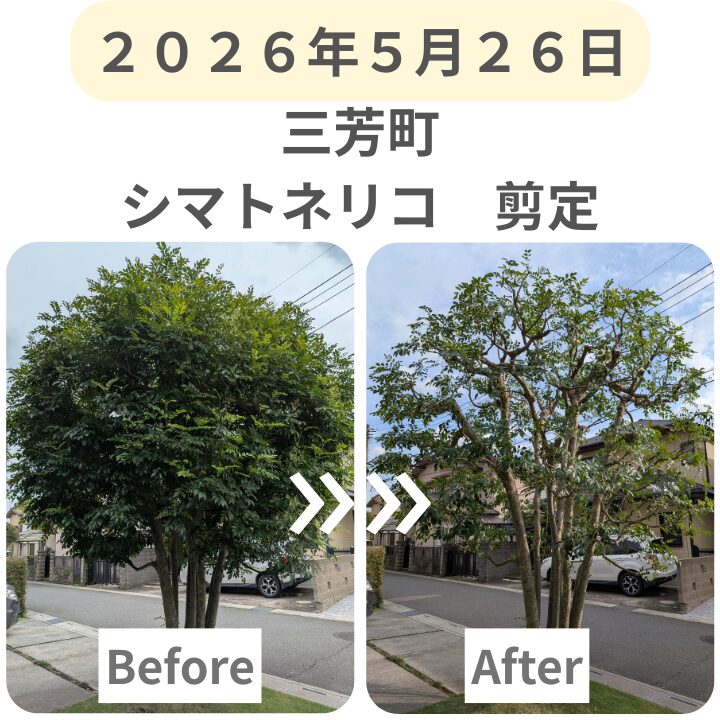 スマホ_最新施工事例