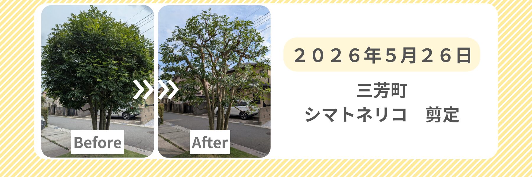 原本