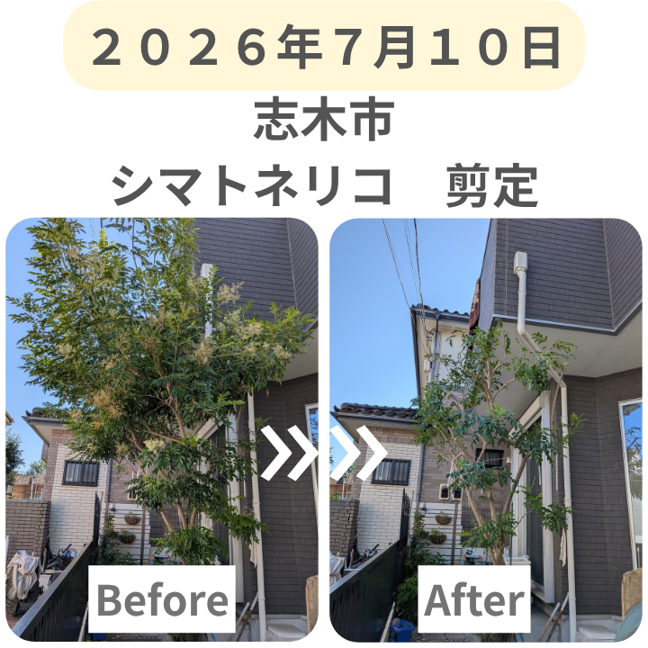 スマホ_最新施工事例