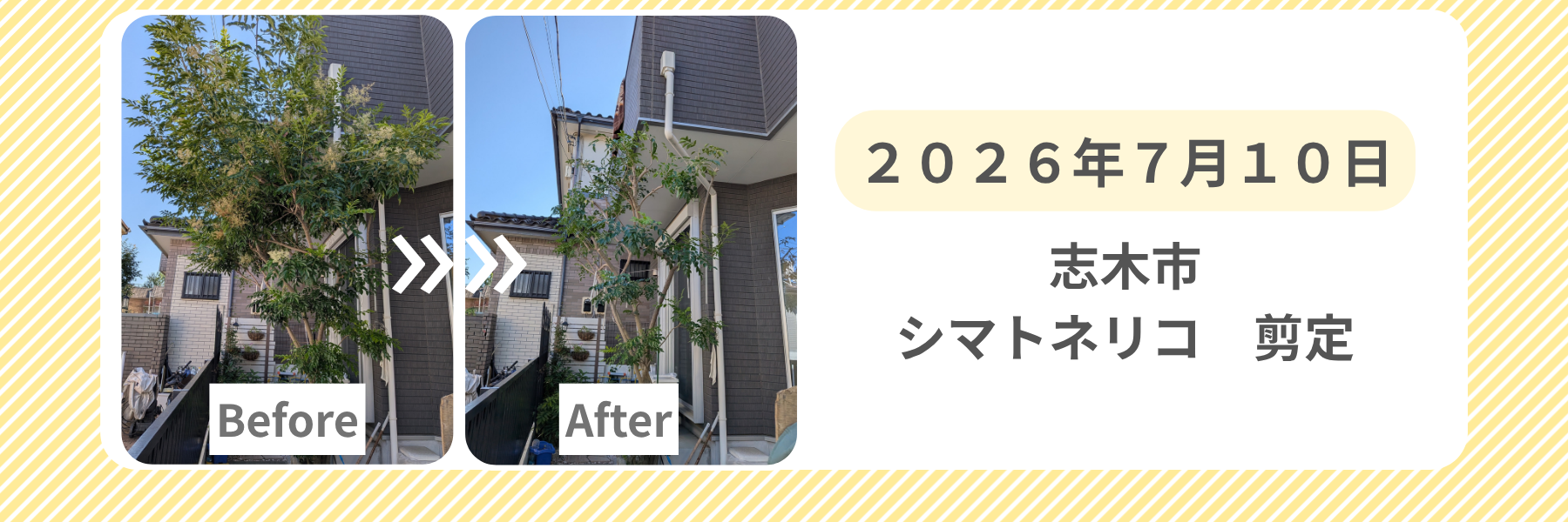 原本
